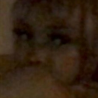 Kittypet Naken